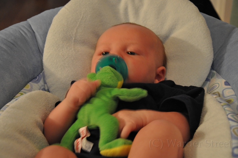 William's Fifth Week 24.jpg